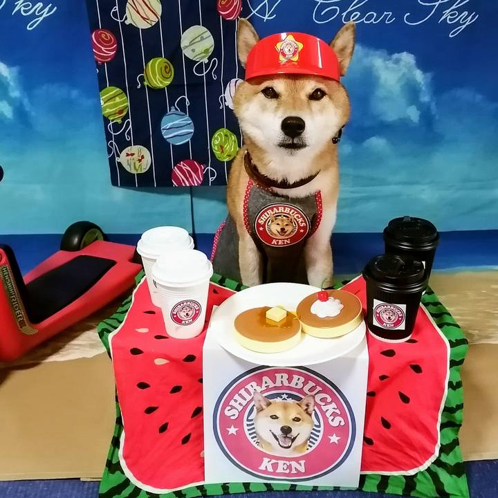 Ba18d3ab 3f56 4b7c 8e74 21fcadc8cc31 1628909424326