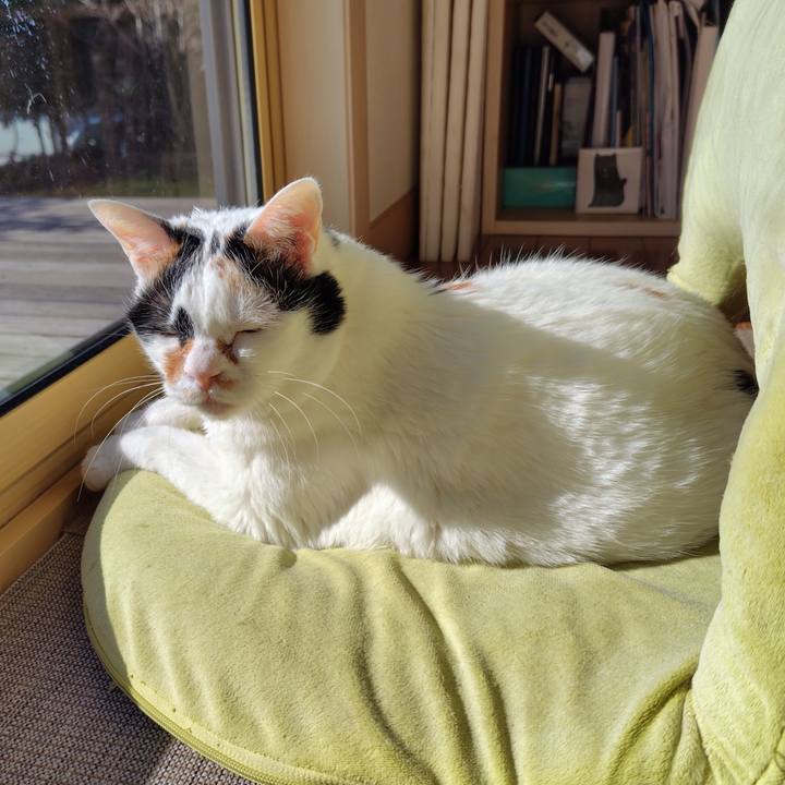 Ba1919e3 e375 4a04 8f73 baf5302bbf64 1736248836601