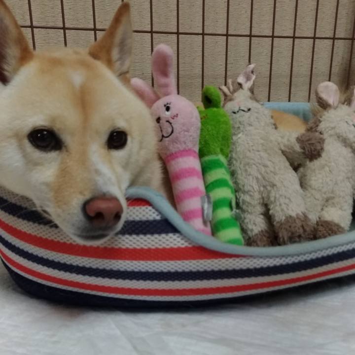 Ba192a44 0b66 478b 8fcc 4e263076b0bf 1566302913567