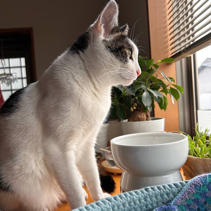 Ba1969dc 3497 42f4 8e40 e13380386607 1721691152828