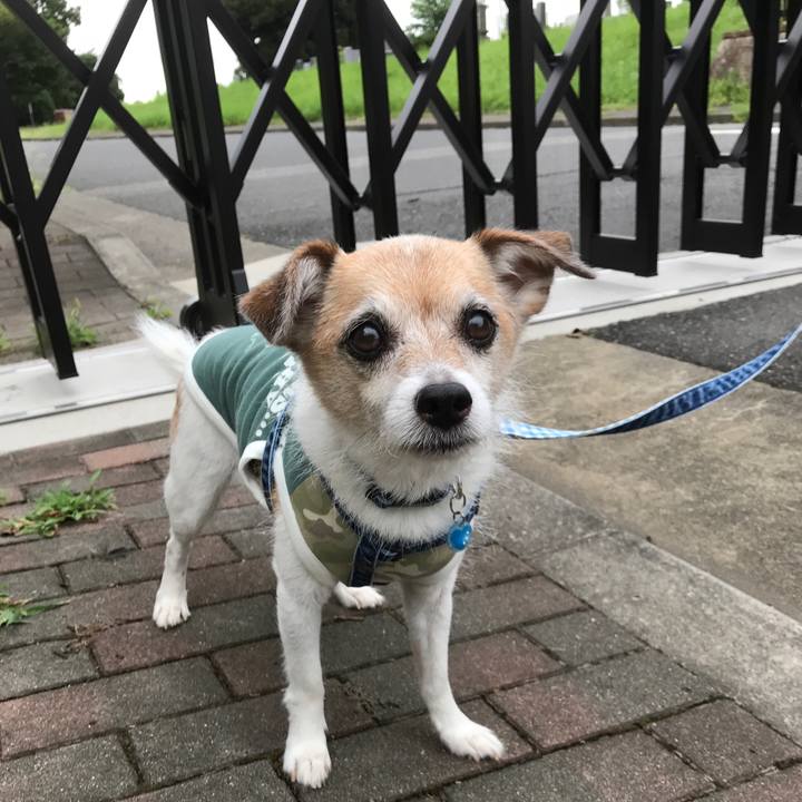 Ba19c016 12f1 4d6e 9b81 fea81a35ba38 1659693336855