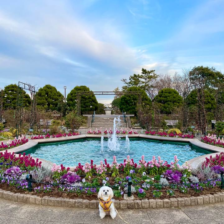 Ba19c341 a81a 4ccd a948 8f682f747caf 1641715404975