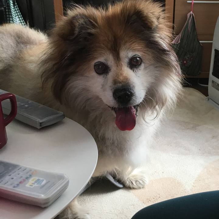 Ba19d454 0e55 4b9b a522 b0dfd2ef1011 1581968071876