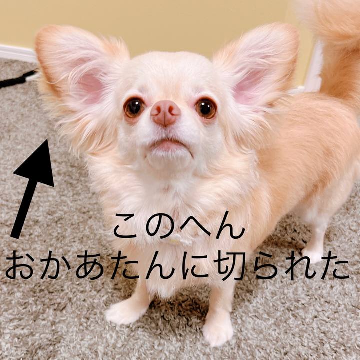 Ba19e8a2 c625 4959 a5ad 31ea7d957d87 1657197776080