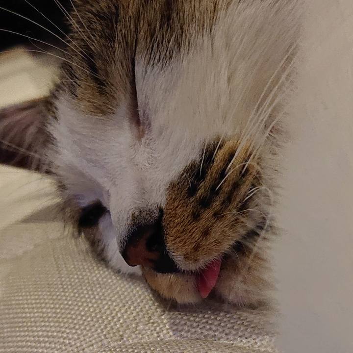 Ba1a0e54 3c67 463d 99d5 bc2e7f8fe3fb 1588647666006