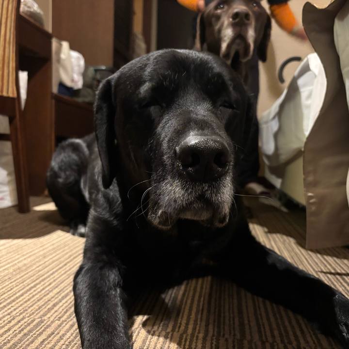 Ba1a1476 3786 425f b6f0 0e6128fa4370 1766408894585