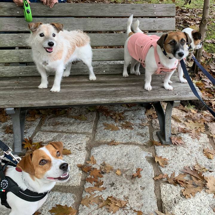 Ba1a2326 812f 4443 90a2 4b0c4845a927 1603006276456