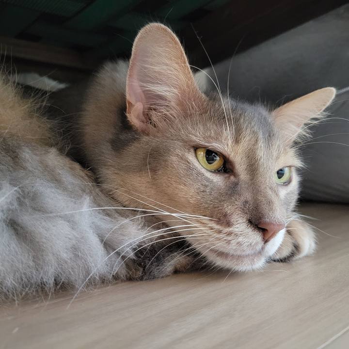 Ba1a40e2 a92c 456d 87f8 c909ea8204b8 1663466577660