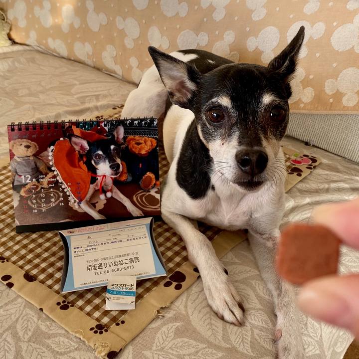 Ba1a4123 19b7 4228 9bd1 e6a222db6423 1575154625952