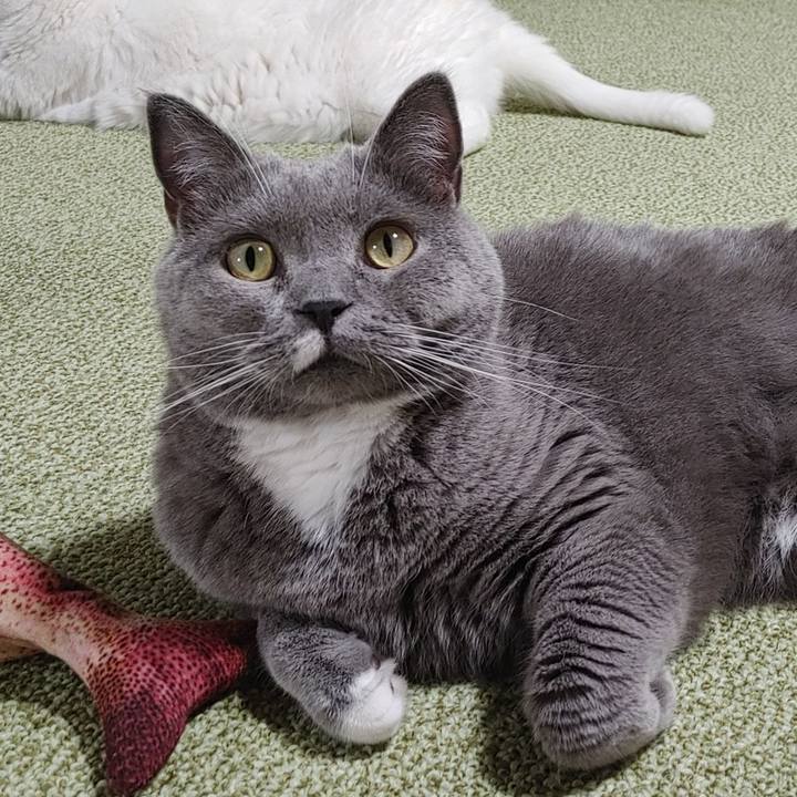 Ba1ab217 8482 4993 9494 f63704047b59 1628328419656