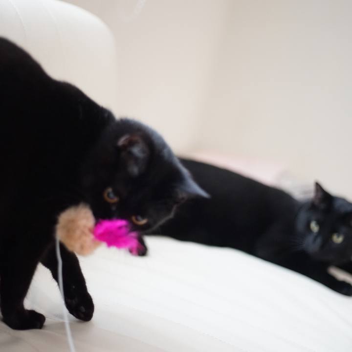 Ba1ac7fa 5c48 4233 91f0 7d1a86812826 1527463745296