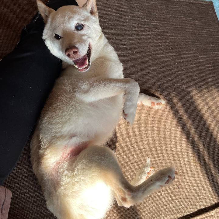 Ba1ae0da 44bd 44aa 90a5 852defd0006e 1668042460409