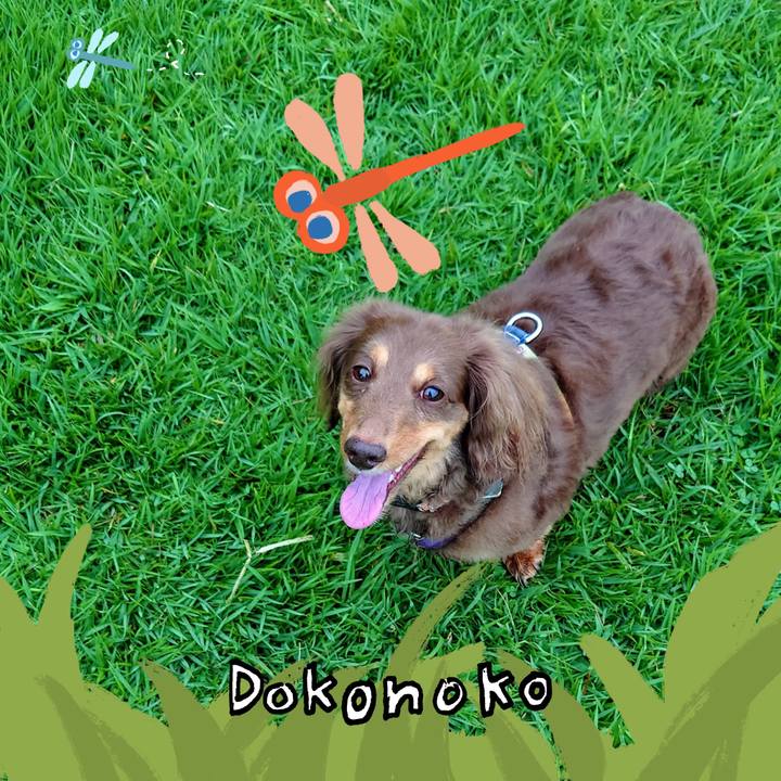 Ba1aed07 fd57 4db3 ac36 e6fbc511a1f3 1726879269915