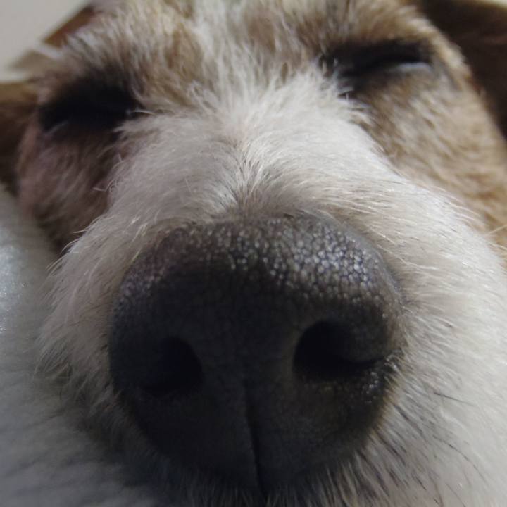 Ba1aef34 c2e7 4662 bc92 454695bad31a 1516533353110