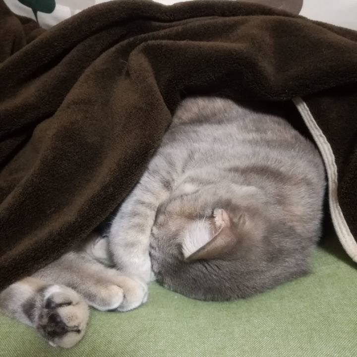 Ba1af4bc 2c10 4faf 8ffb 05efaebf69e1 1510667166991