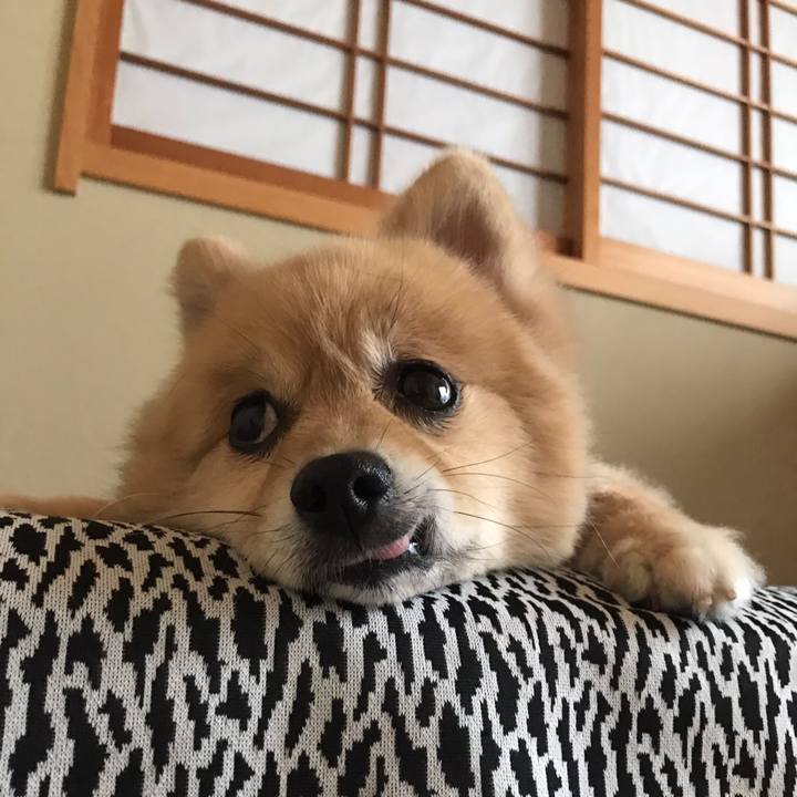 Ba1b0705 a13f 43d9 9de4 76728fc5b7b1 1596108698766