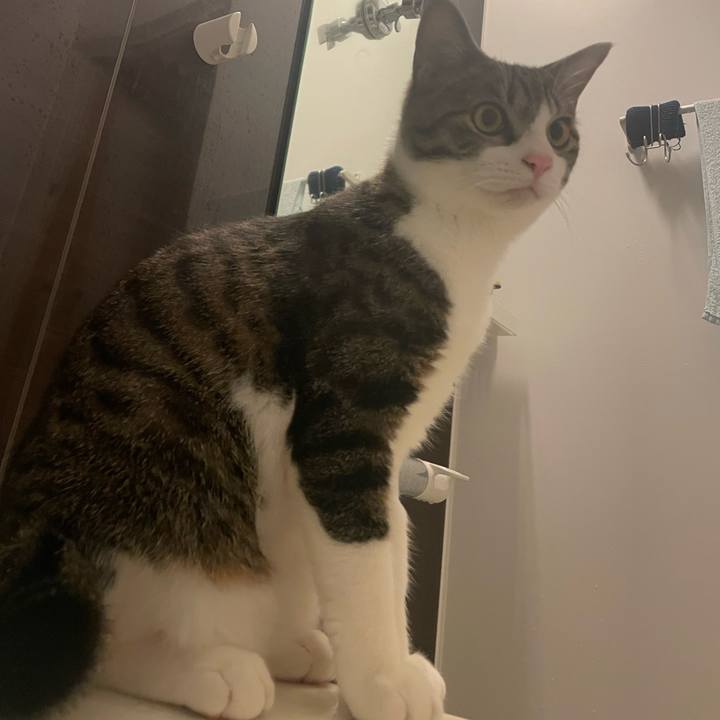 Ba1b1f5b c11a 4eb2 9cd2 7b67163bc182 1732299933066