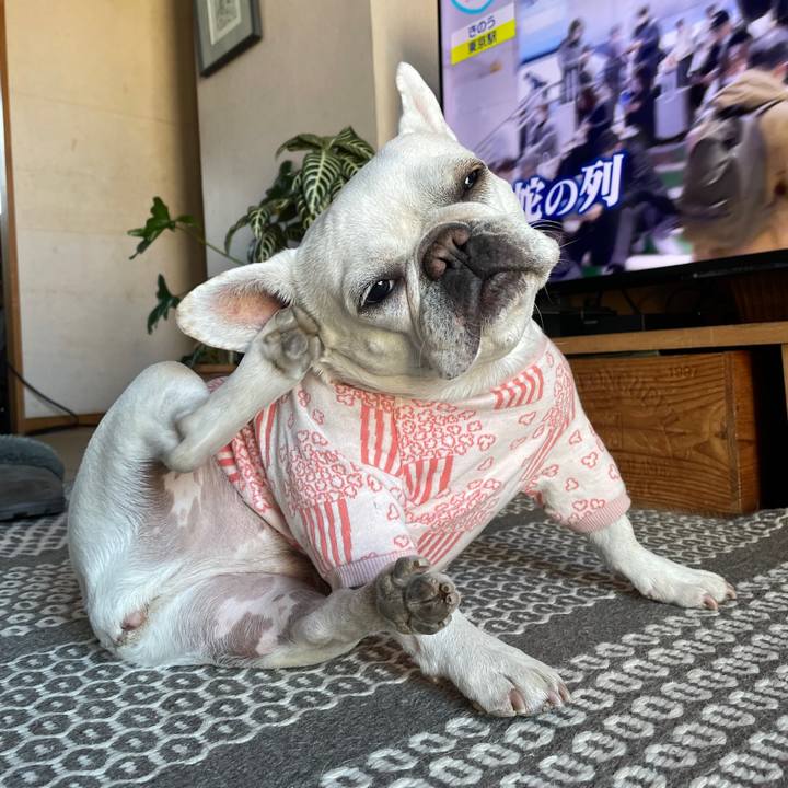 Ba1b47a9 d610 4f4a b88d 105e5c18185a 1741303055212