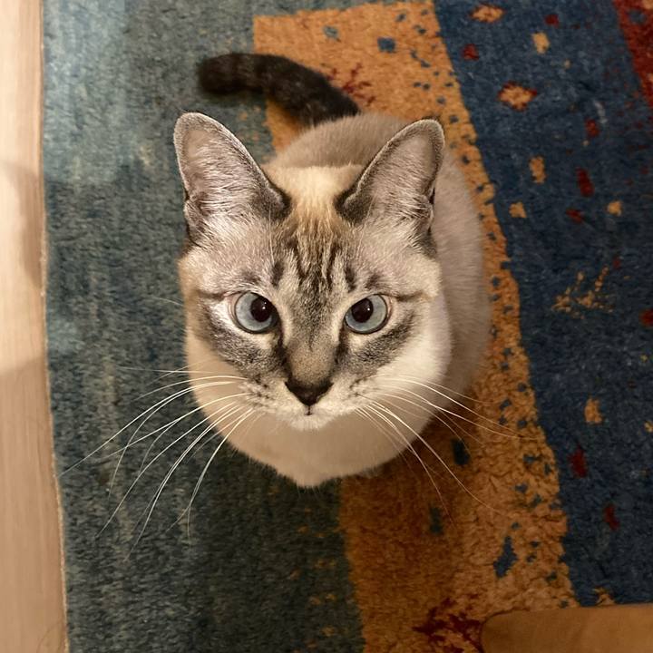 Ba1b765d 4814 4ad3 aa8f 69e8b3fdaa68 1640431665549