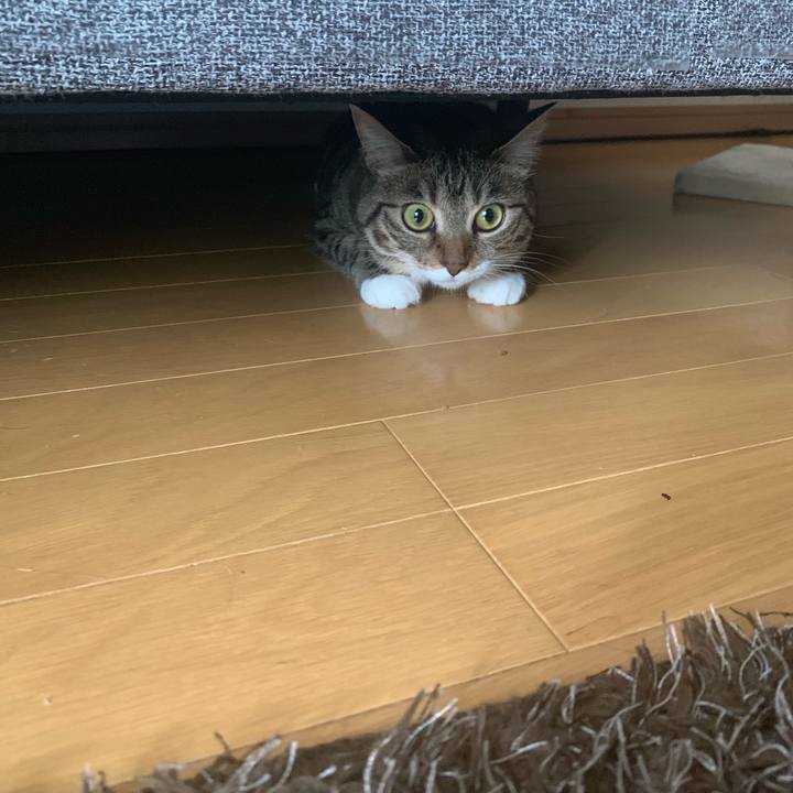 Ba1bb0ab d8e7 4e57 9c1f 3cc0e826f337 1561373282559