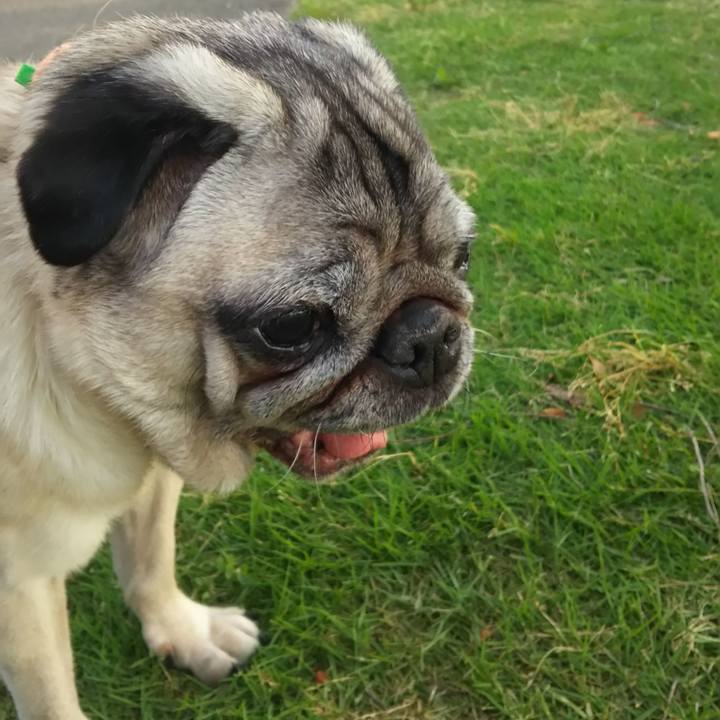 Ba1bb23f 738f 4e9e b67f bd2726671087 1559620174490