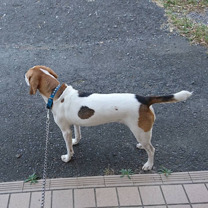 Ba1bd20b c24f 4fc6 aef2 04e2dc75153e 1569986329677