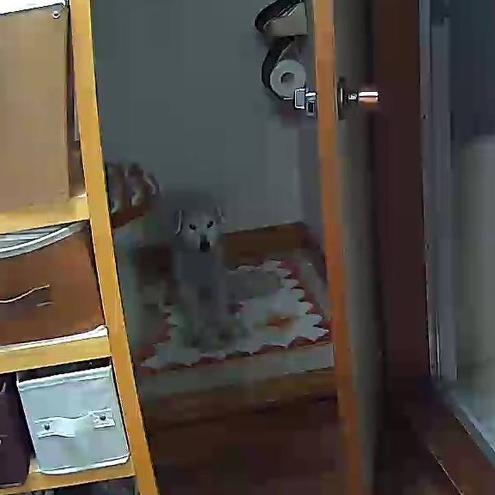 Ba1bdcde f57e 42a4 9583 db7cde035eb8 1646116163718