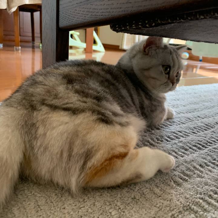 Ba1be703 a690 46ae 9a1f a6ae2e709d8b 1711847256294