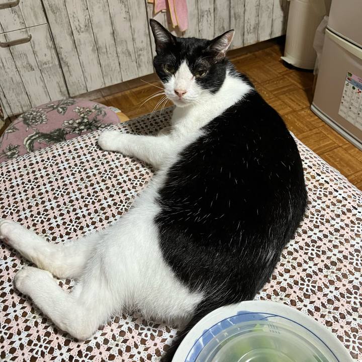 Ba1c2750 a3e6 4831 943c 5196bef27c82 1725105053400