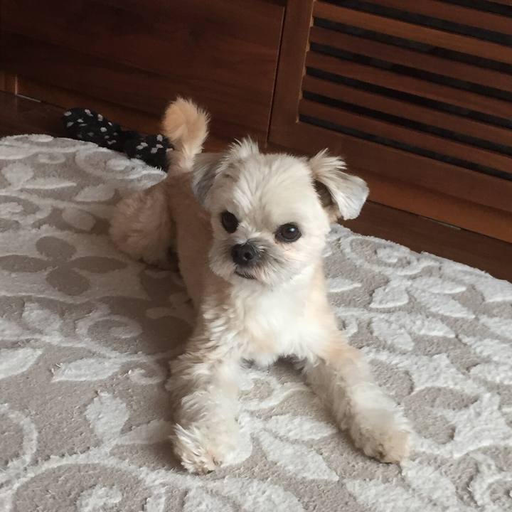 Ba1c37eb 02da 444c b261 116098fb9603 1553927522689