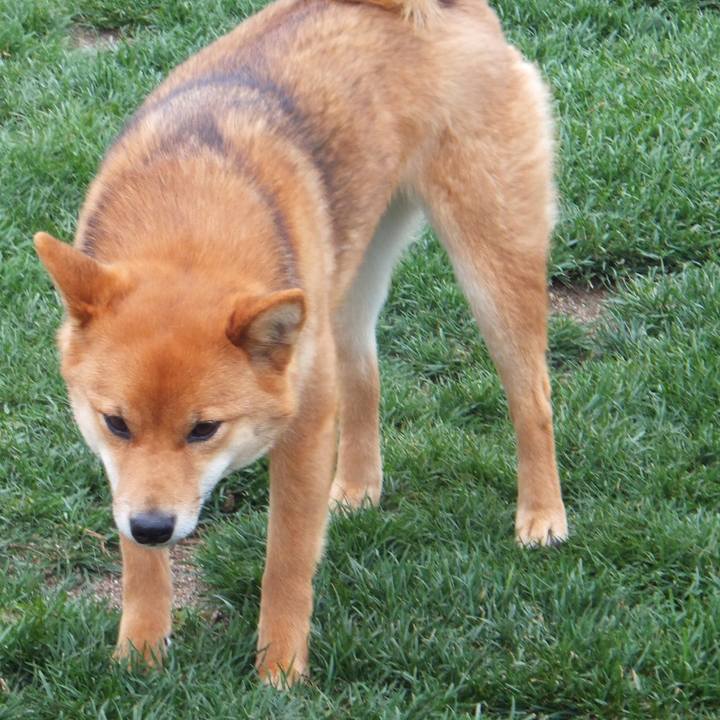 Ba1c7382 e2c1 4a85 837a 5ea106ad5c80 1666524246168