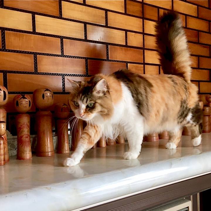 Ba1c8f4c 830a 41c2 960e 8d2498c8bce1 1590295470847