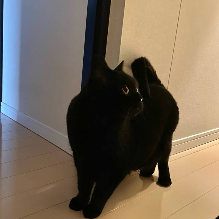 Ba1c97b7 0d47 468f bbe4 c1ce9f957790 1623319603258