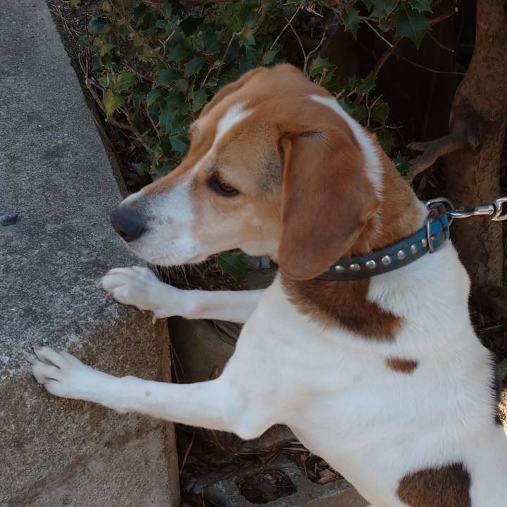 Ba1ca11d 23cd 4863 bd9a fb69225e55f4 1614148893805