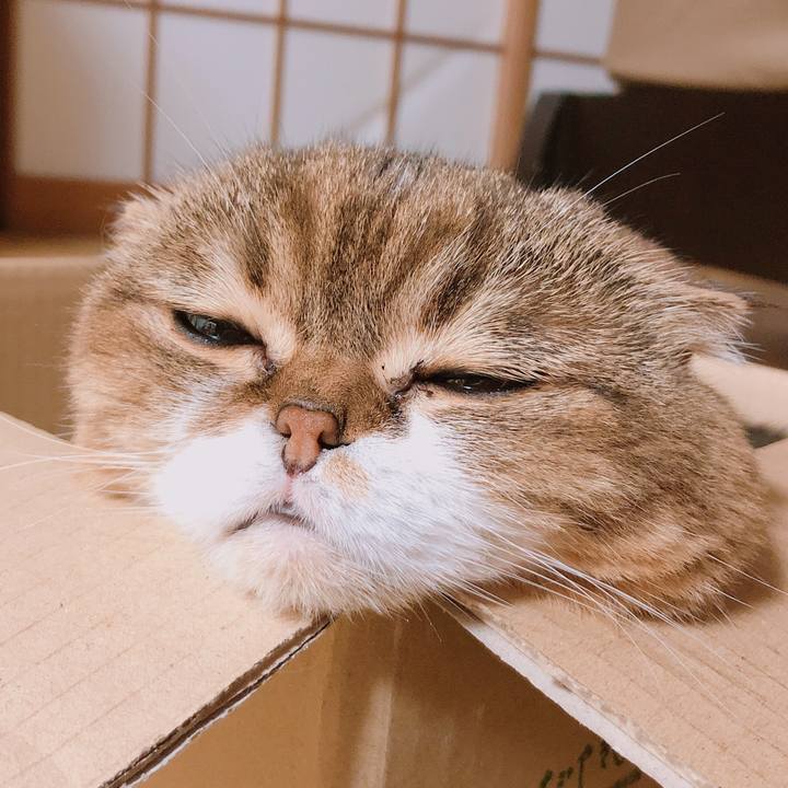 Ba1cbbd0 77e4 4a95 94ac 5e1ebd5eadf1 1561897400822