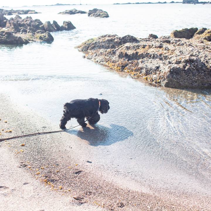 Ba1ce866 8c3b 4611 82d0 0dc72c925f06 1555559738883