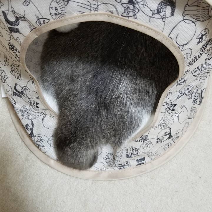 Ba1d04b3 6815 4024 9fba 08696a63169d 1603804316479