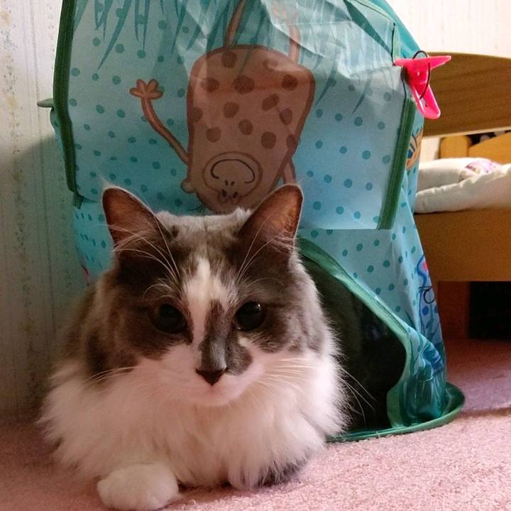 Ba1d49c1 9662 49e9 abd1 73bcad1baf04 1598480363195