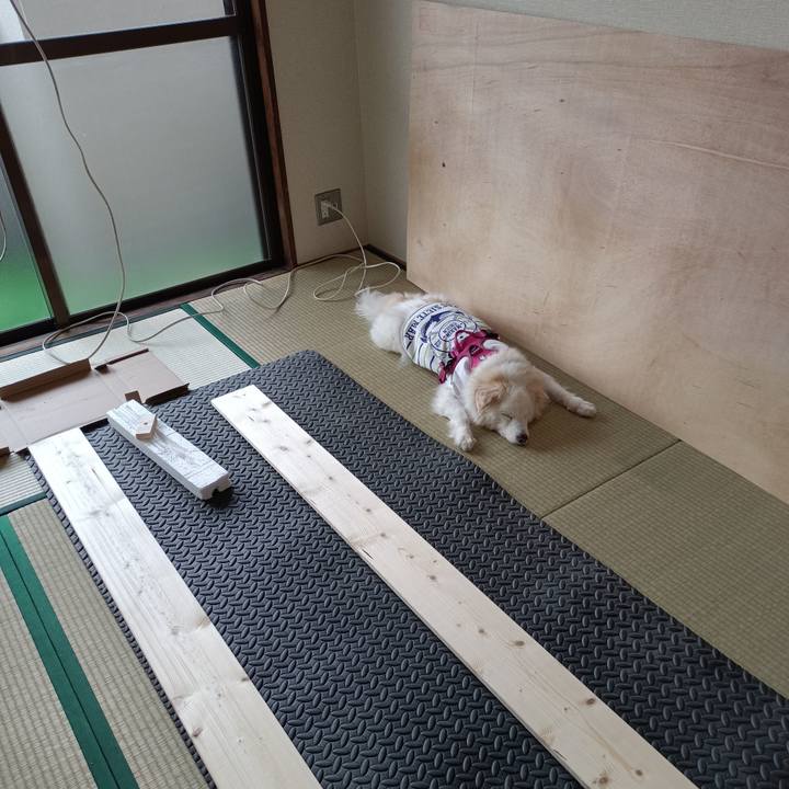 Ba1d5b8c e325 4a13 8d12 1ad7864dbb5c 1744688498544