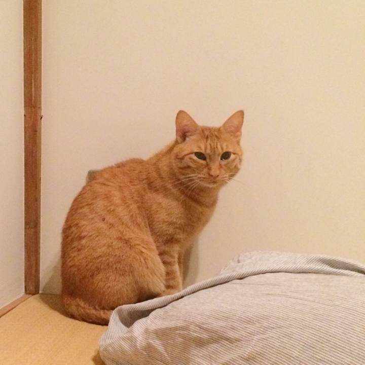 Ba1d7d64 30be 4346 a8bd f87ea964b7be 1509375308330