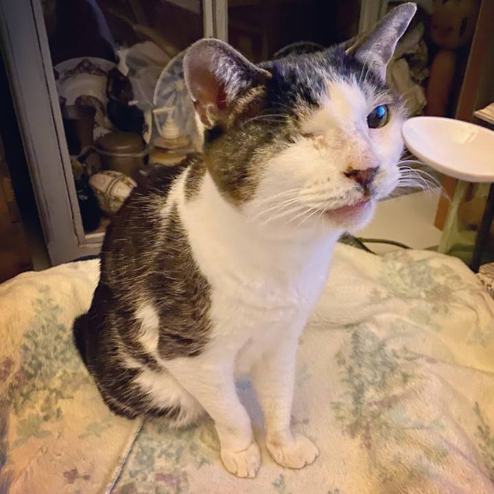 Ba1dccae 152d 4d0c 9048 d8260fee3515 1612013145289