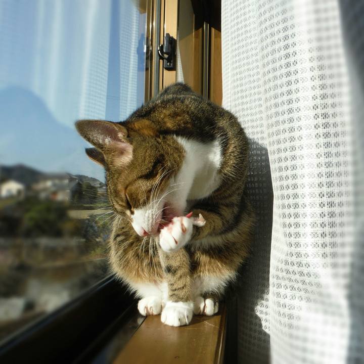 Ba1dfa24 ed94 4a19 8f18 fdafb81d9e57 1513317700789