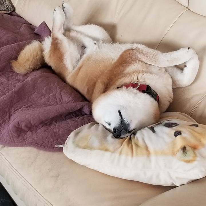 Ba1e1457 8af2 4409 97ec 059cde63b507 1741502966946