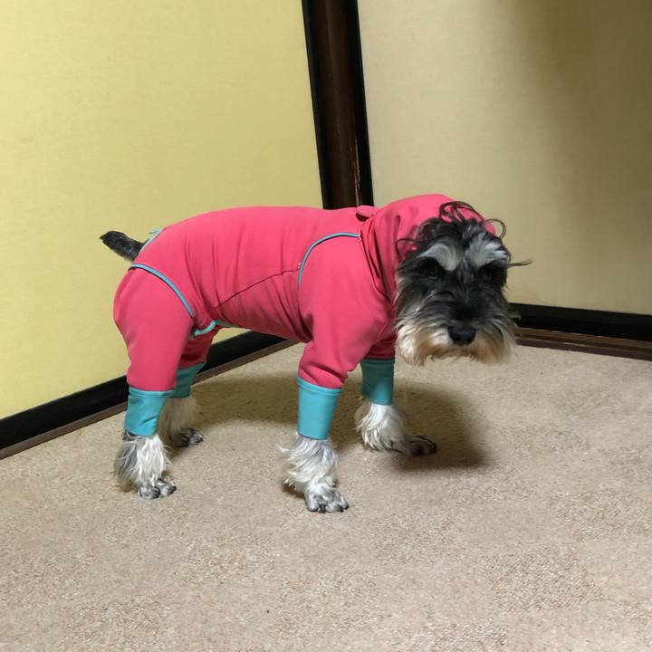 Ba1e17cd 066a 4aa9 bed0 b5660853bdce 1611064632439