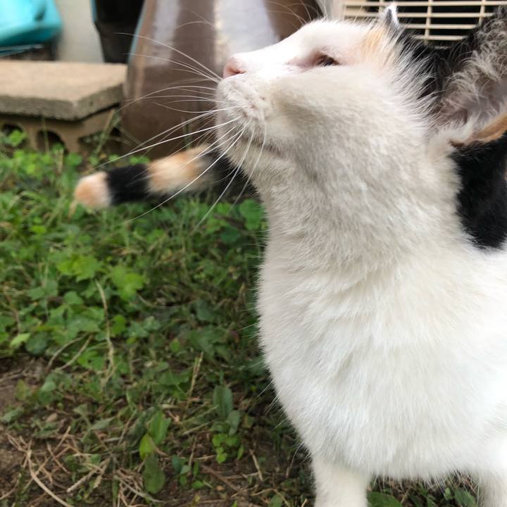 Ba1e3ae1 8da9 4c1f 825a a2f376e0d0a4 1601417861428