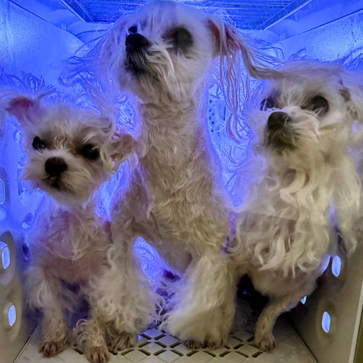 Ba1e3b99 8836 400b a4c0 716731df7a82 1710937071434