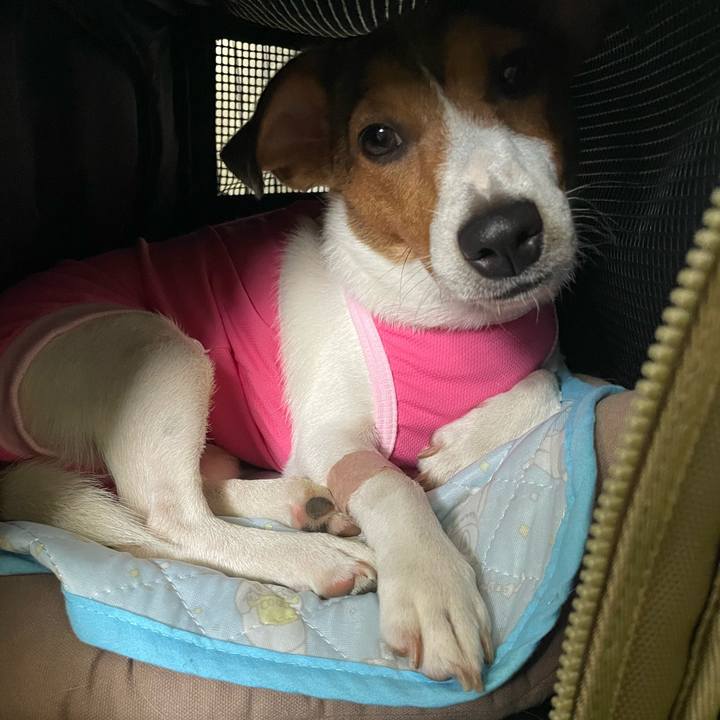 Ba1e6b82 918d 4977 93c7 e453f51a04df 1689481628369