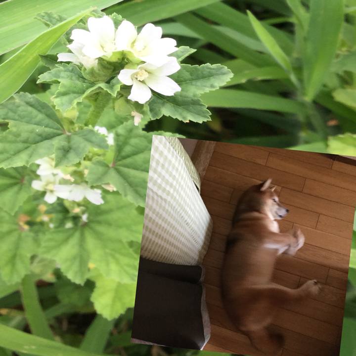 Ba1e8cc4 eabc 4e11 84ff 0cabeeb89abd 1598077911808