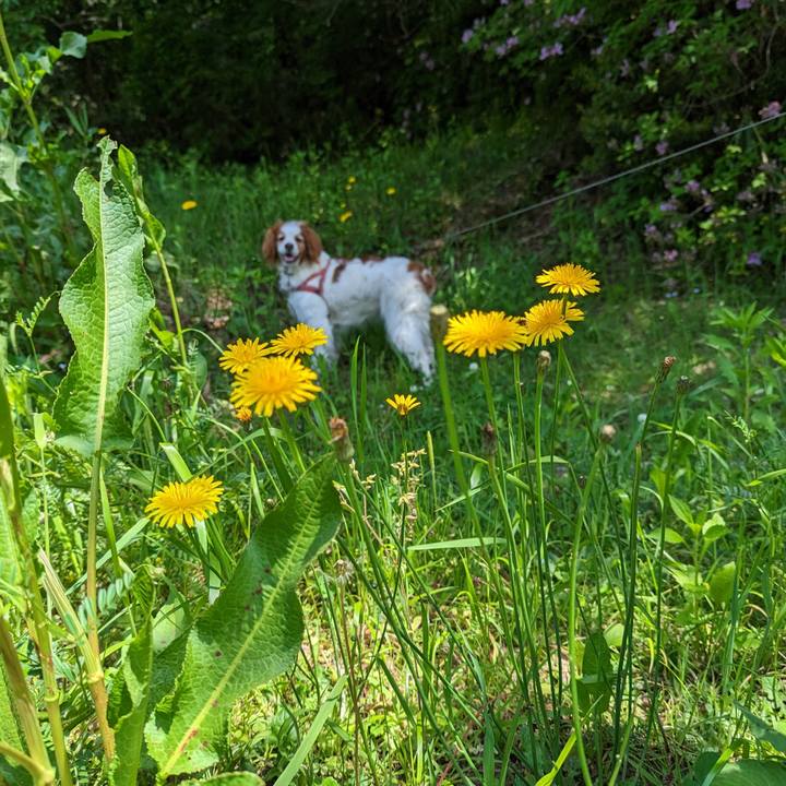 Ba1ea5d9 9161 457a ab3d b327cc95fce8 1683457565052