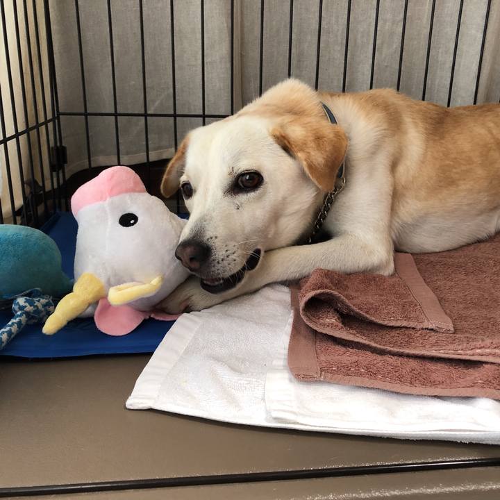 Ba1ec372 df8a 4a8d 913f 61622c06da4d 1628642835752